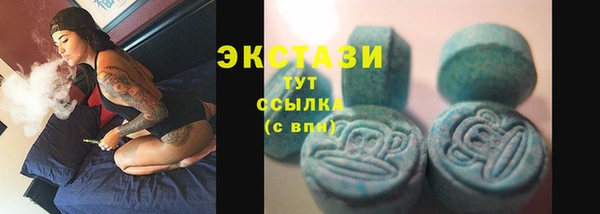 индика Мосальск