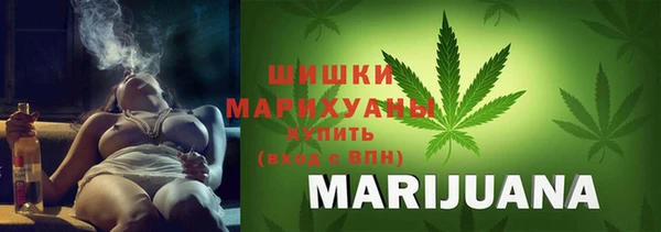 индика Мосальск
