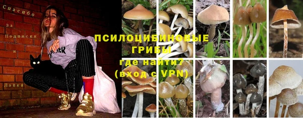 индика Мосальск