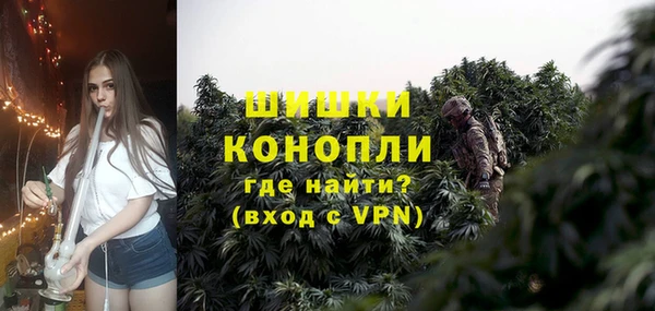 дживик Моршанск