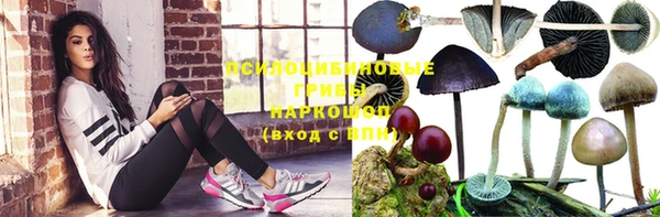 гашик Сафоново