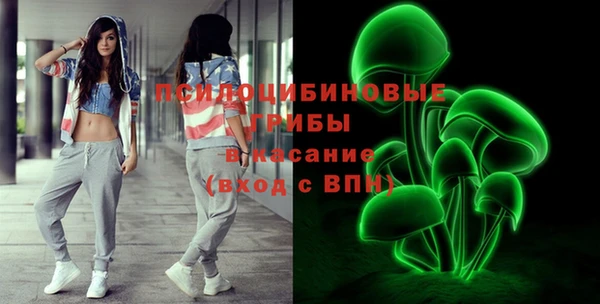 винт Сатка