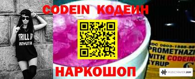 индика Гатчина