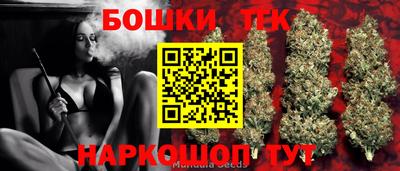 индика Гатчина