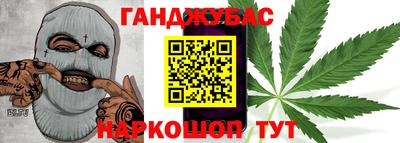 индика Гатчина