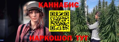 индика Гатчина
