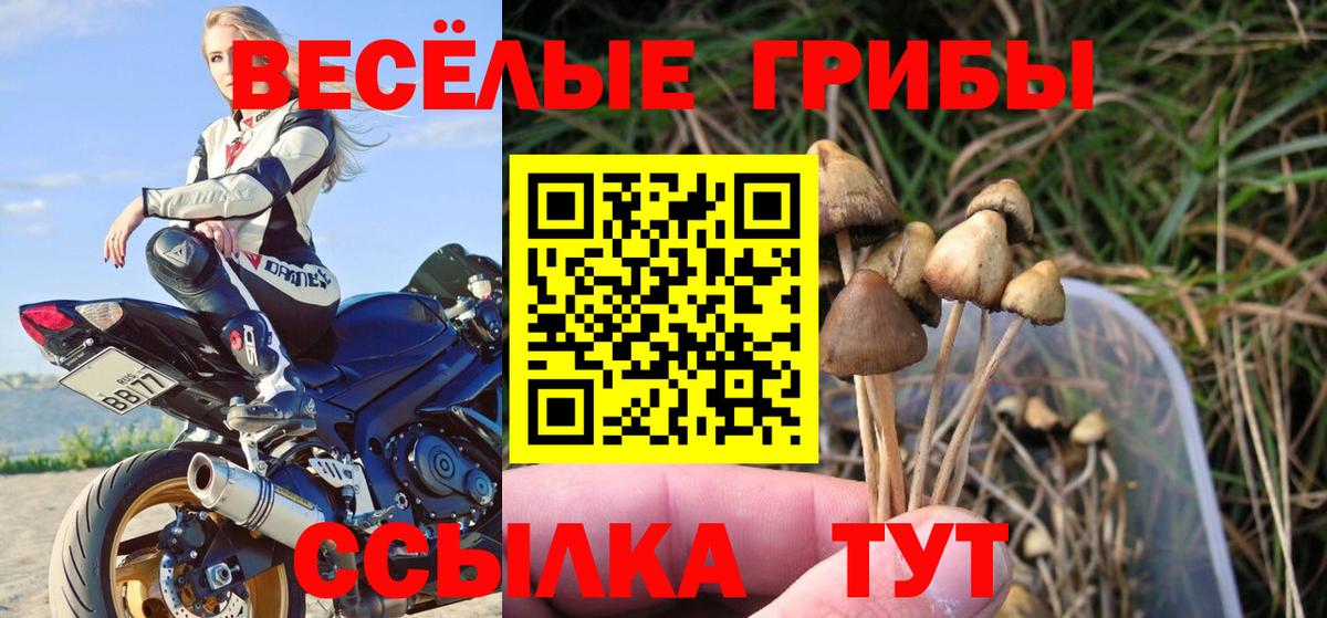 Советск  Вход с VPN  Канабис  Cocaine  Меф  ГАШИШ  МЕФ кристаллы  Каннабис 