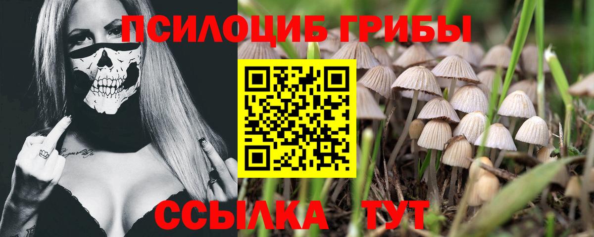 Галлюциногенные грибы мицелий  Галлюциногенные грибы Psilocybine cubensis  Вход с VPN  Советск 
